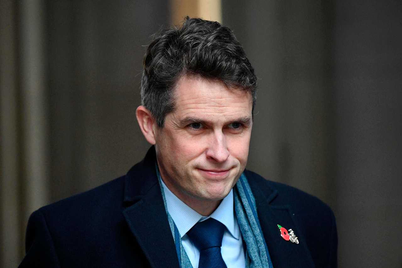 Now Gavin Williamson takes swipe at the QUEEN moaning portrait of her in his office is ‘not very flattering’