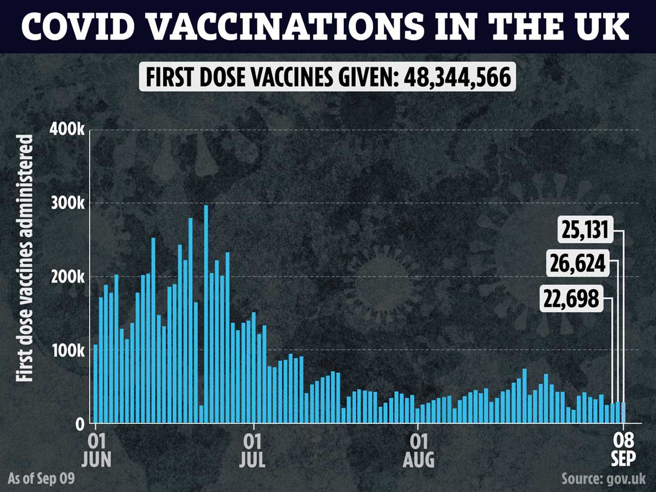 Vaccine passports could be rolled out to pubs and restaurants to prevent another winter lockdown, minister suggests