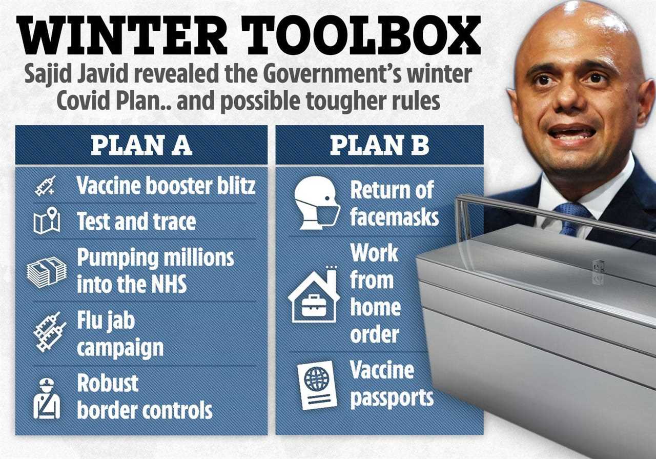 Covid winter plan: Mandatory masks and work from home order could return to stave off more lockdowns, says Boris Johnson