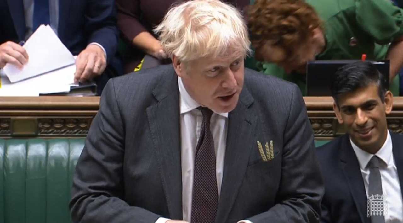 Why is Boris Johnson wearing wheat in his top pocket?