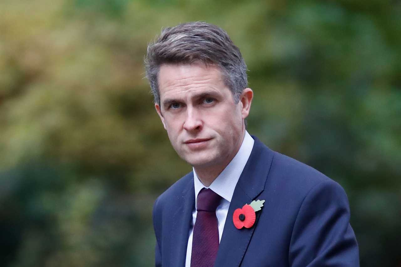 Who is Gavin Williamson and why was he sacked as Education Secretary during cabinet reshuffle?