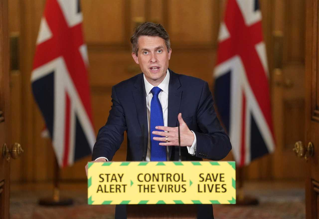 Who is Gavin Williamson and why was he sacked as Education Secretary during cabinet reshuffle?