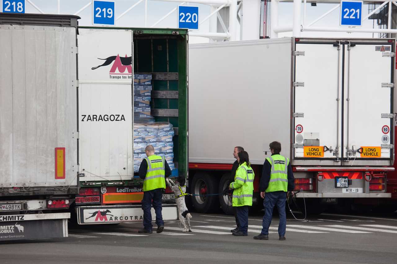 Brexit border checks shelved until next year to avoid Christmas chaos