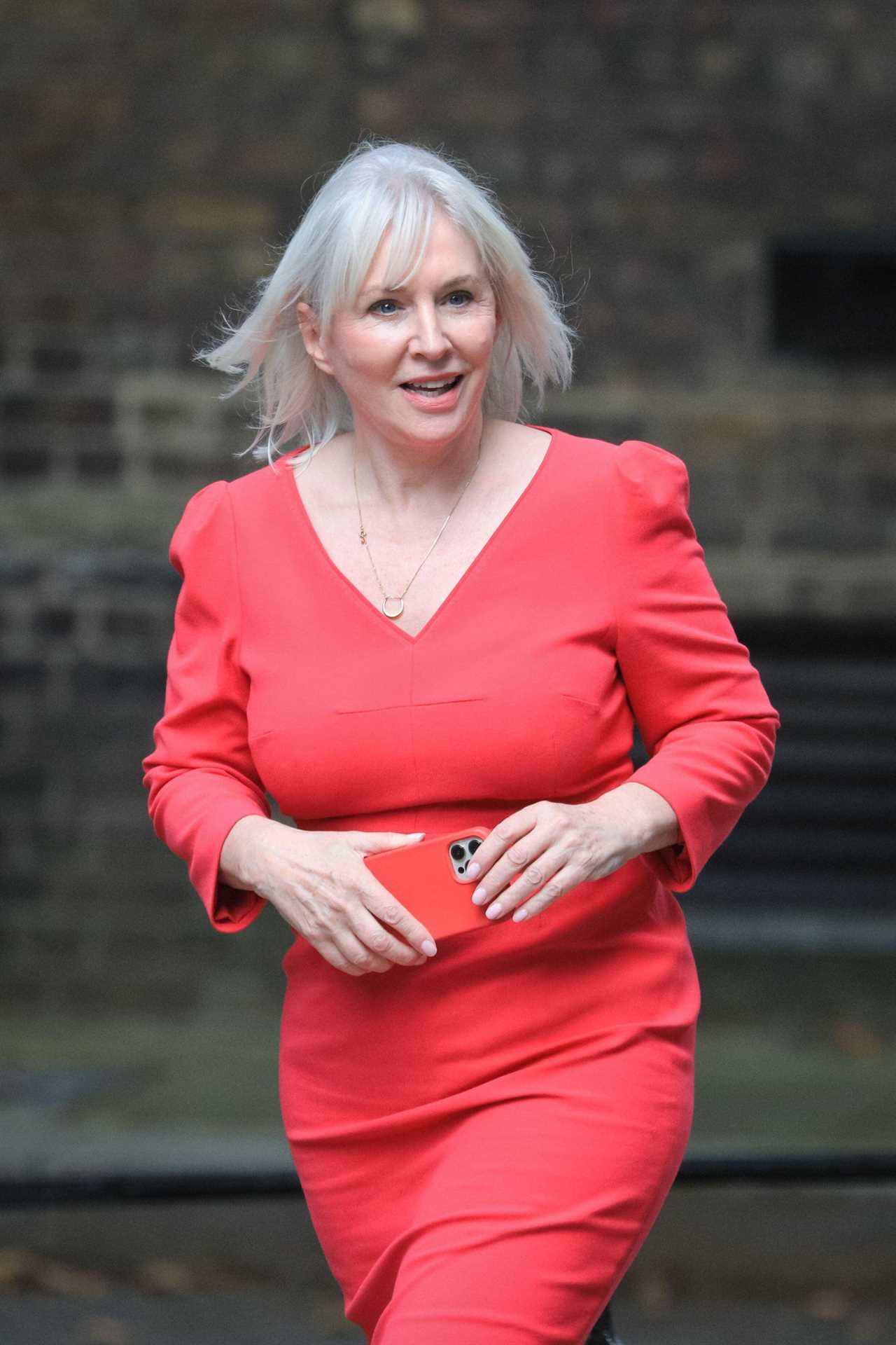 New Culture Secretary Nadine Dorries will stop woke art projects being funded by taxpayers