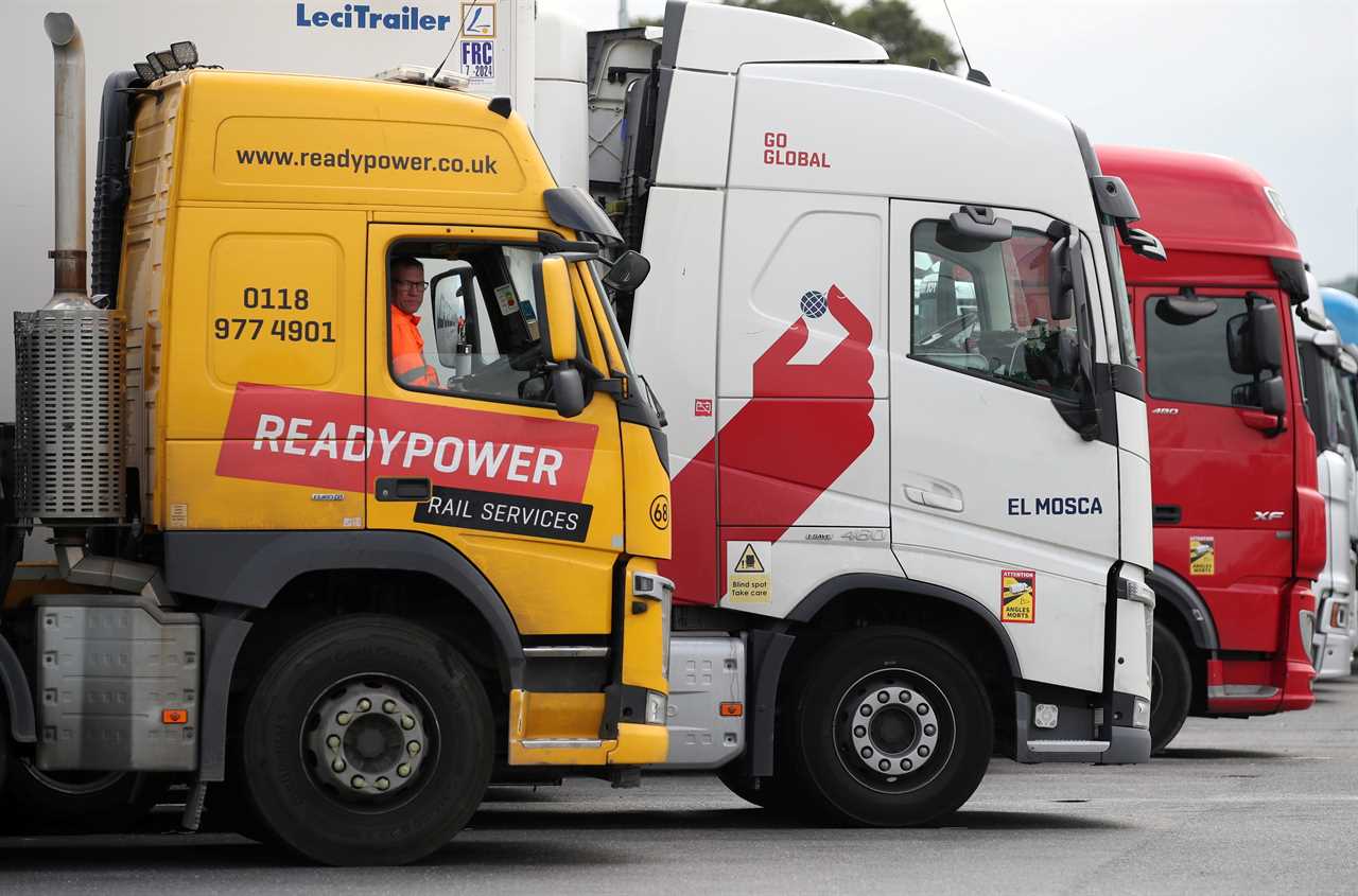 Grant Shapps calls retired lorry drivers back into service to help supply shortage as ARMY may be called in