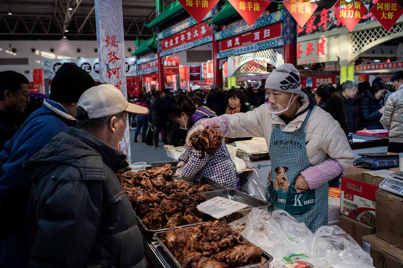 Baby monkeys chained up by NECKS in horror wet market that spark next pandemic after Covid