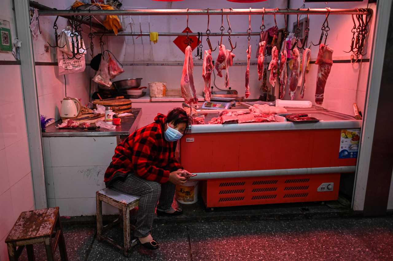 Baby monkeys chained up by NECKS in horror wet market that spark next pandemic after Covid