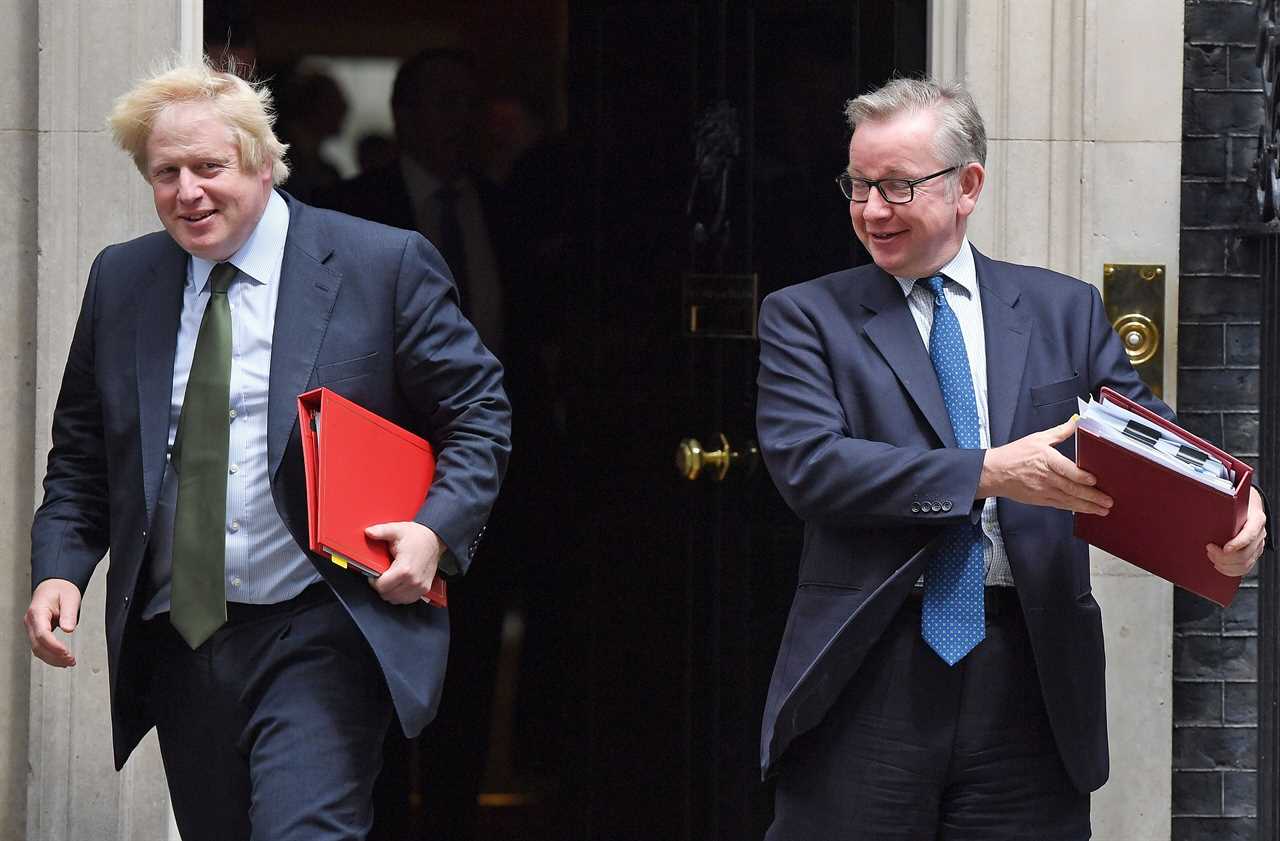 Michael Gove finally admits he ‘made a mistake’ when he stabbed Boris Johnson in back during 2016 leadership bid