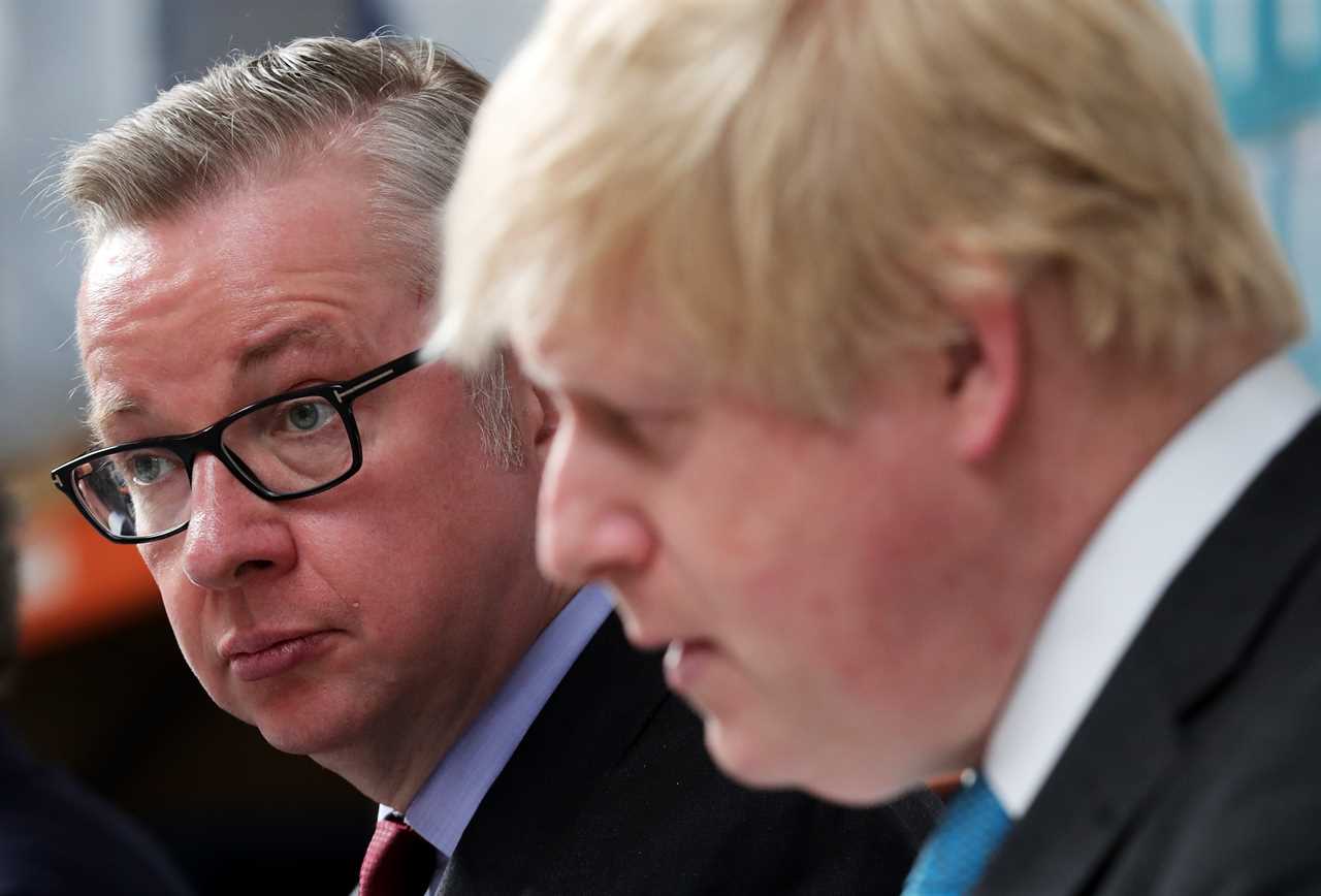 Michael Gove finally admits he ‘made a mistake’ when he stabbed Boris Johnson in back during 2016 leadership bid