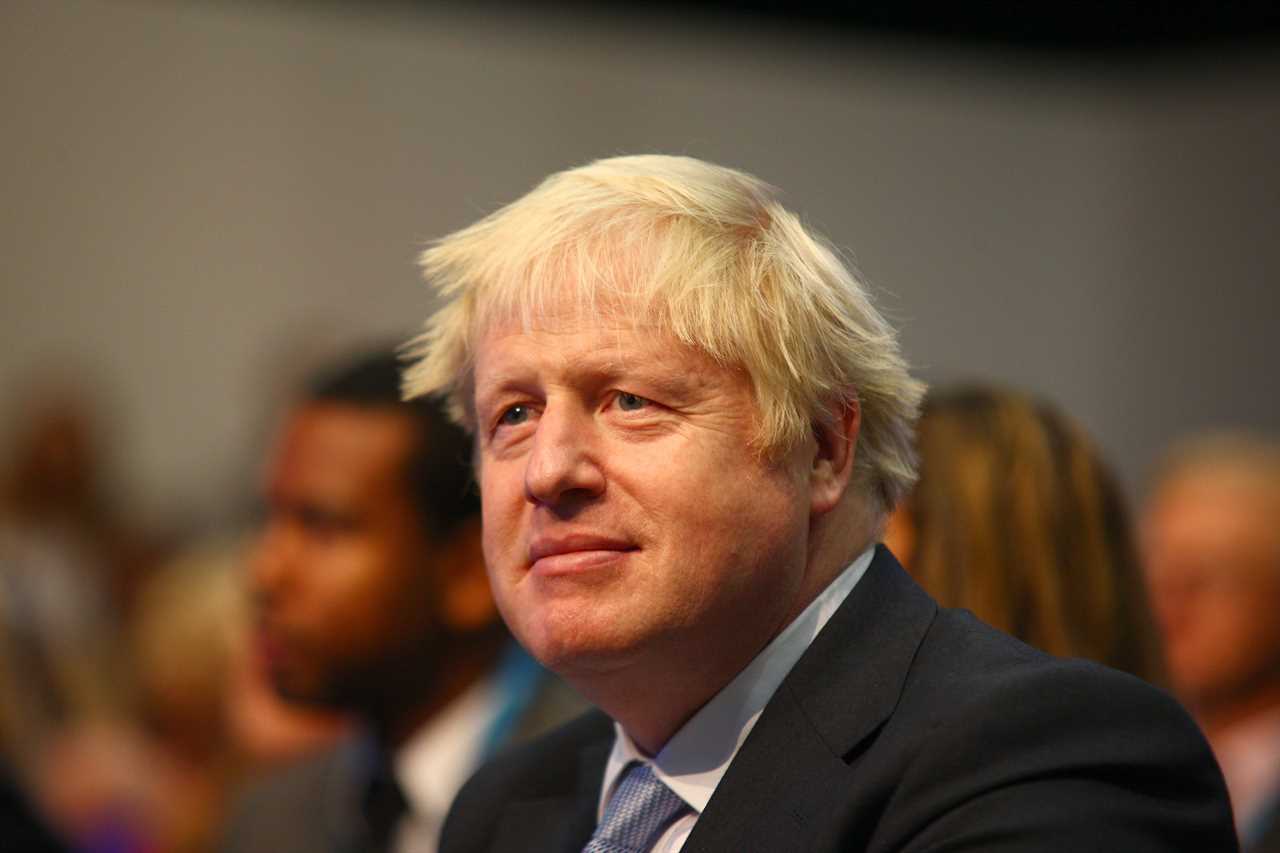Meet the ‘LIDL Tories’ who Boris Johnson believes will decide the destiny of his government