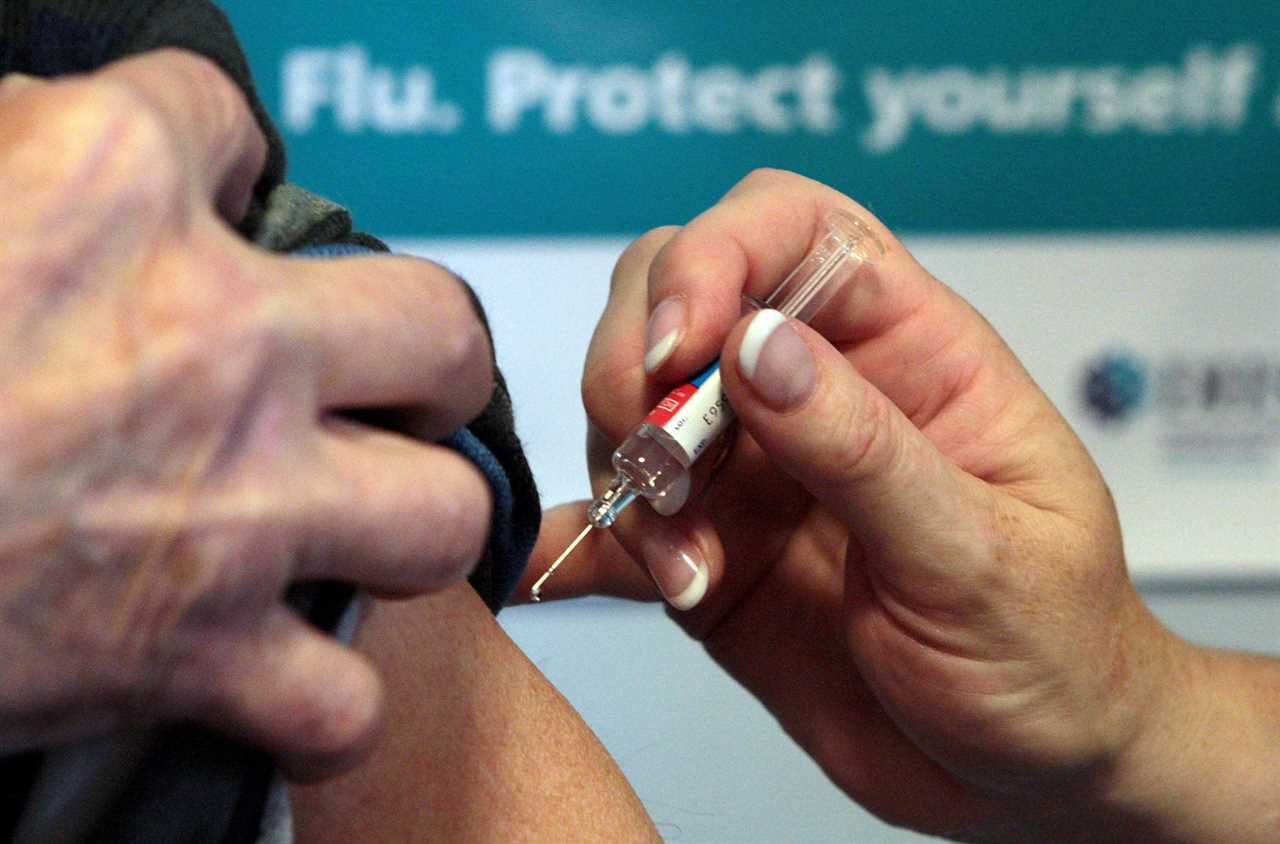 Deaths from the flu could reach 60k this winter because of past lockdowns – the worst figure in 50 years