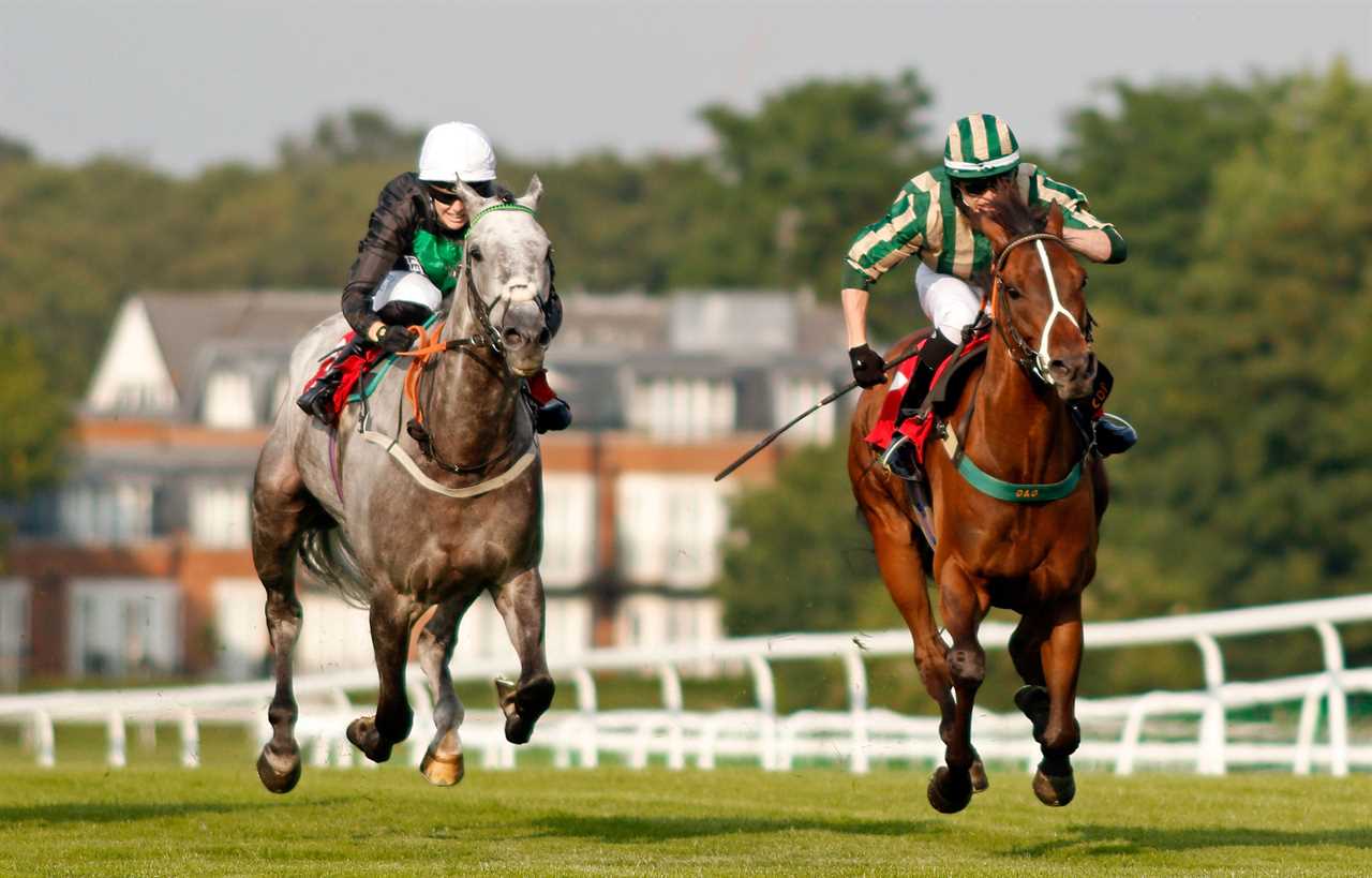 Racehorse bought in honour of a friend who passed from Covid wins his debut race