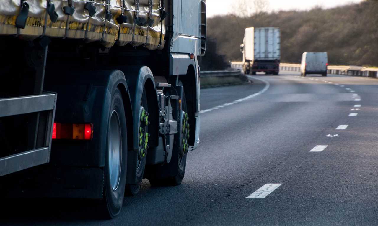 Criminals should drive lorries to fix delivery crisis because they’re ‘more motivated’, says Dominic Raab