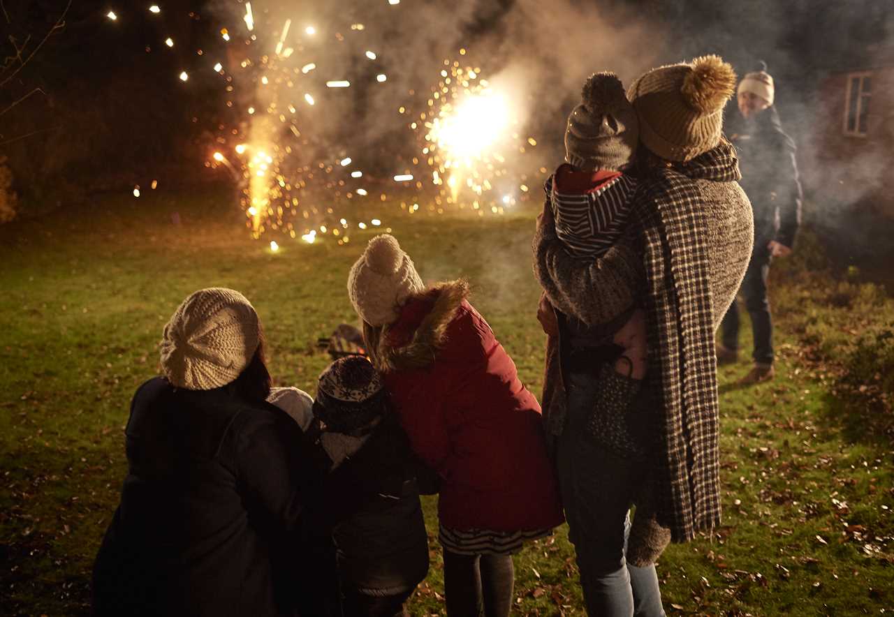 MPs branded ‘killjoys’ for joining calls for Govt to ban garden firework shows