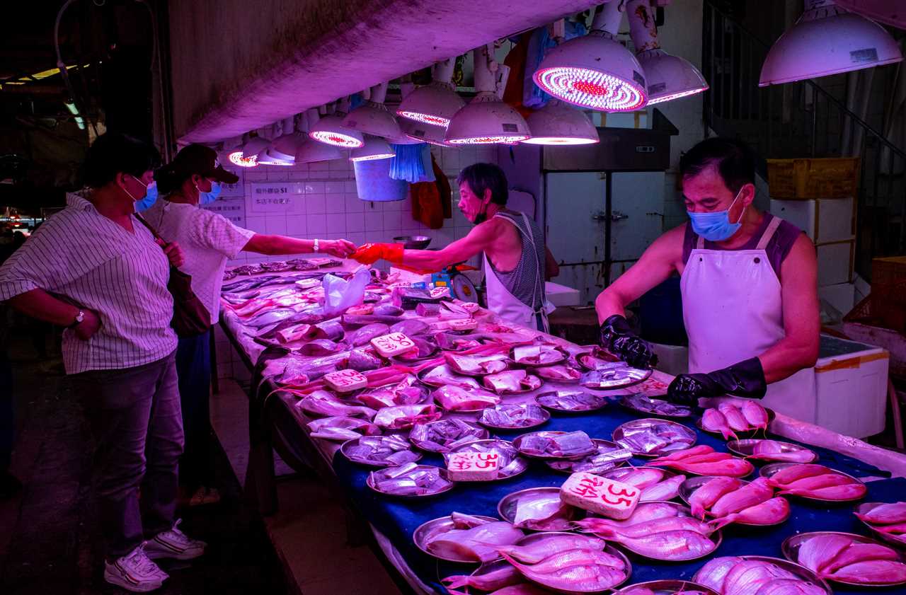 China may spark ANOTHER pandemic as 18 ‘high risk’ viruses that could be next Covid found lurking in wet markets