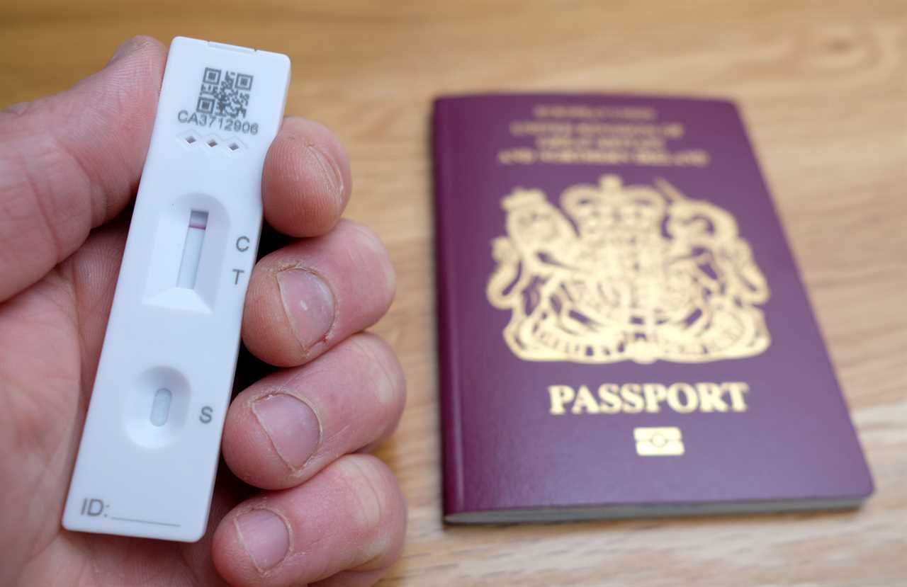 PCR test prices could soar to HUNDREDS of pounds & pre-Xmas travel to be ‘wiped out’ with new Covid rules, expert warns