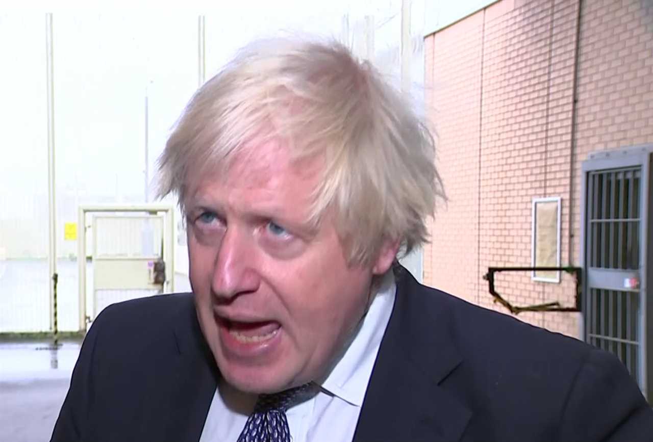 Boris Johnson may introduce vaccine passports and order Brits to work from home to curb Omicron and save Christmas