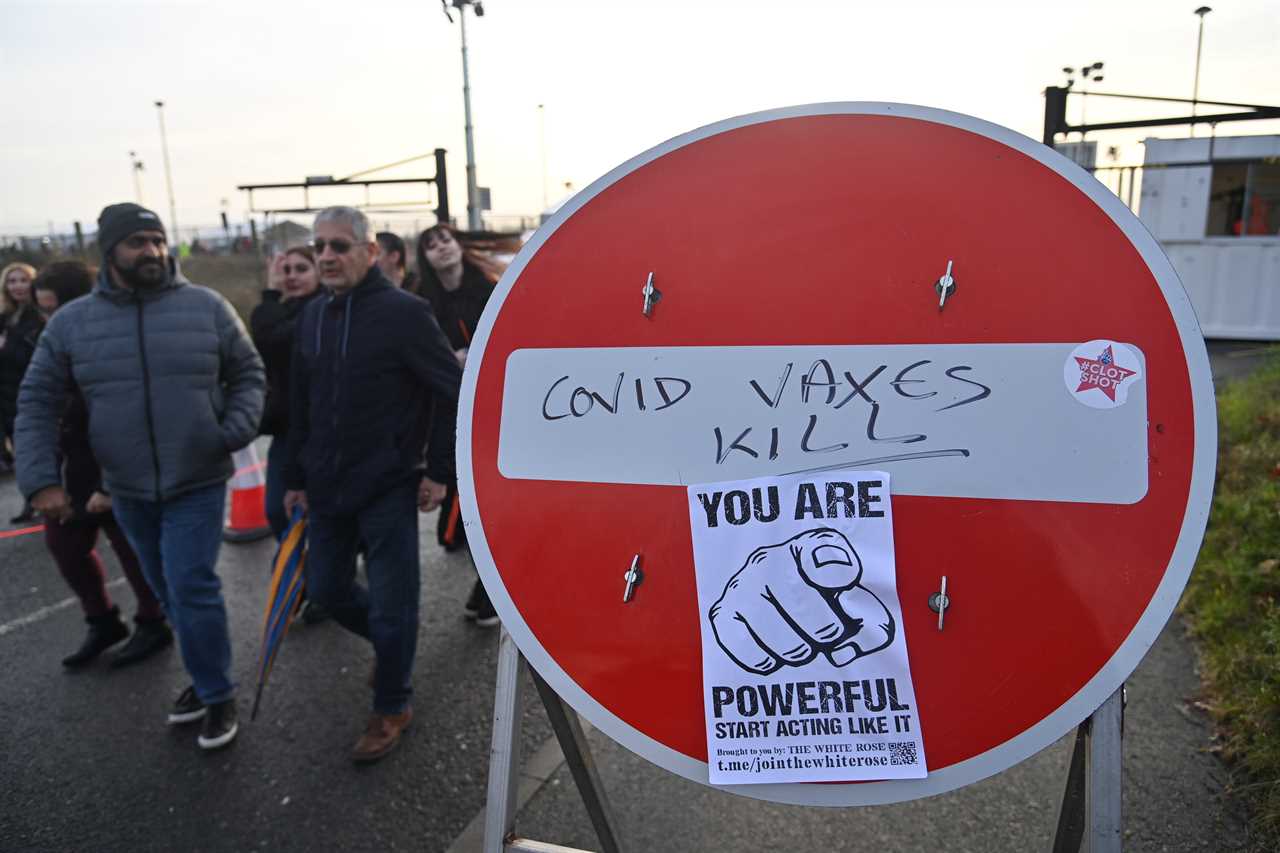 Anti-vaxx thugs labelled d**k heads by fuming MP after activists storm Covid test site, leading to ridicule online