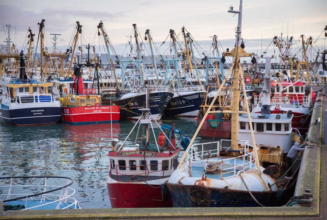 England’s most lucrative fishing port defies Brexit doom-mongers by landing record £43.6million of seafood