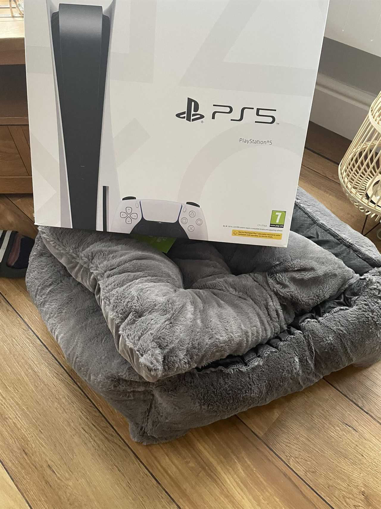 I ordered my son a PS5 for Christmas but when he opened the box all he found was a DOG BED