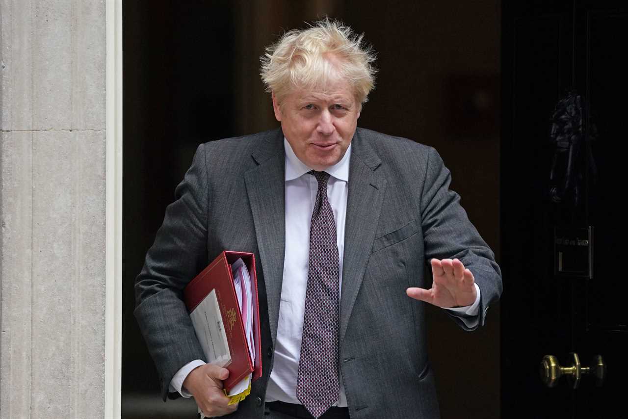 British Gas want Boris Johnson to scrap unfair green taxes to cut bills by £170 overnight