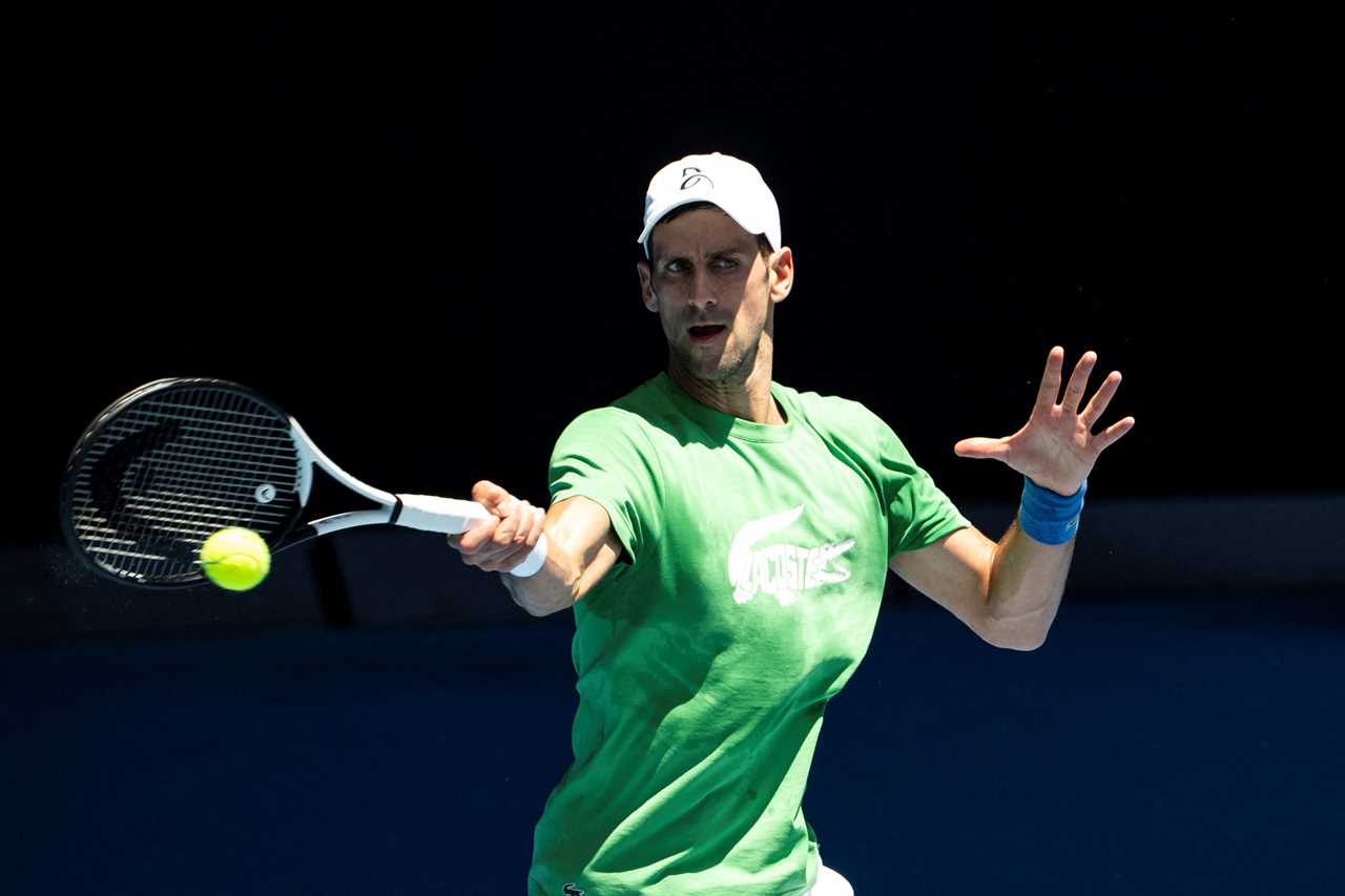 Novak Djokovic named number one seed for Australian Open next week – despite STILL facing deportation over Covid jab row