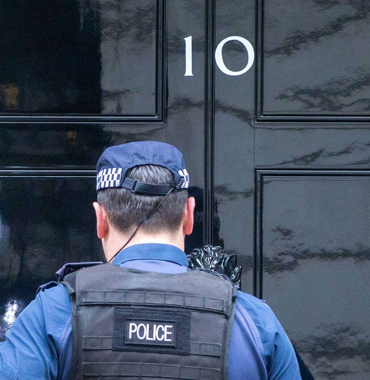 Met Police will NOT investigate Downing Street lockdown parties – unless inquiry finds criminal behaviour