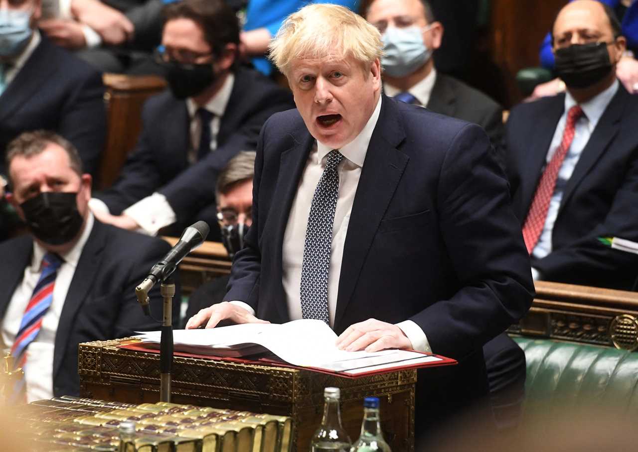 Boris Johnson ‘is safe in his job’ because we all make mistakes, says Cabinet ally Nadhim Zahawi despite Tory anger