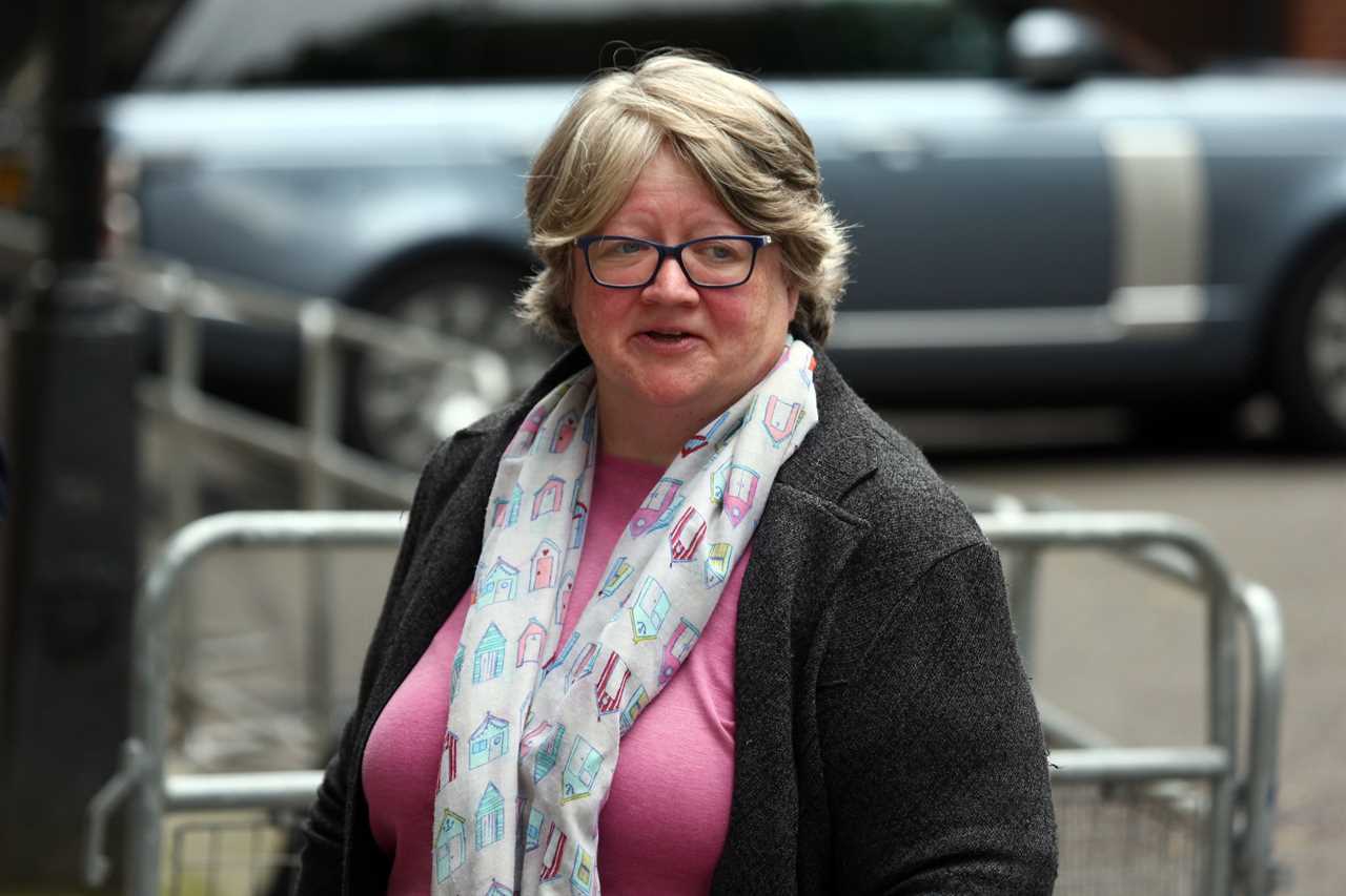 Work and Pensions Secretary Therese Coffey (pictured) has hinted that the Tories will tear p their manifesto pledge and ditch the pensions triple lock this year