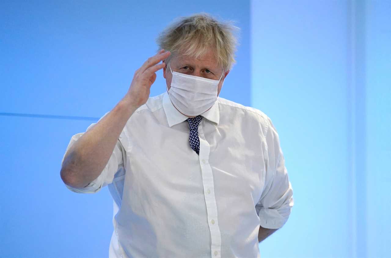 Boris Johnson denies accusations No10 are ‘blackmailing’ Tory rebels into backing his leadership