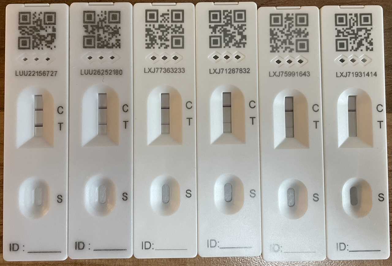 What are the pink lines on your lateral flow test and what do they mean?