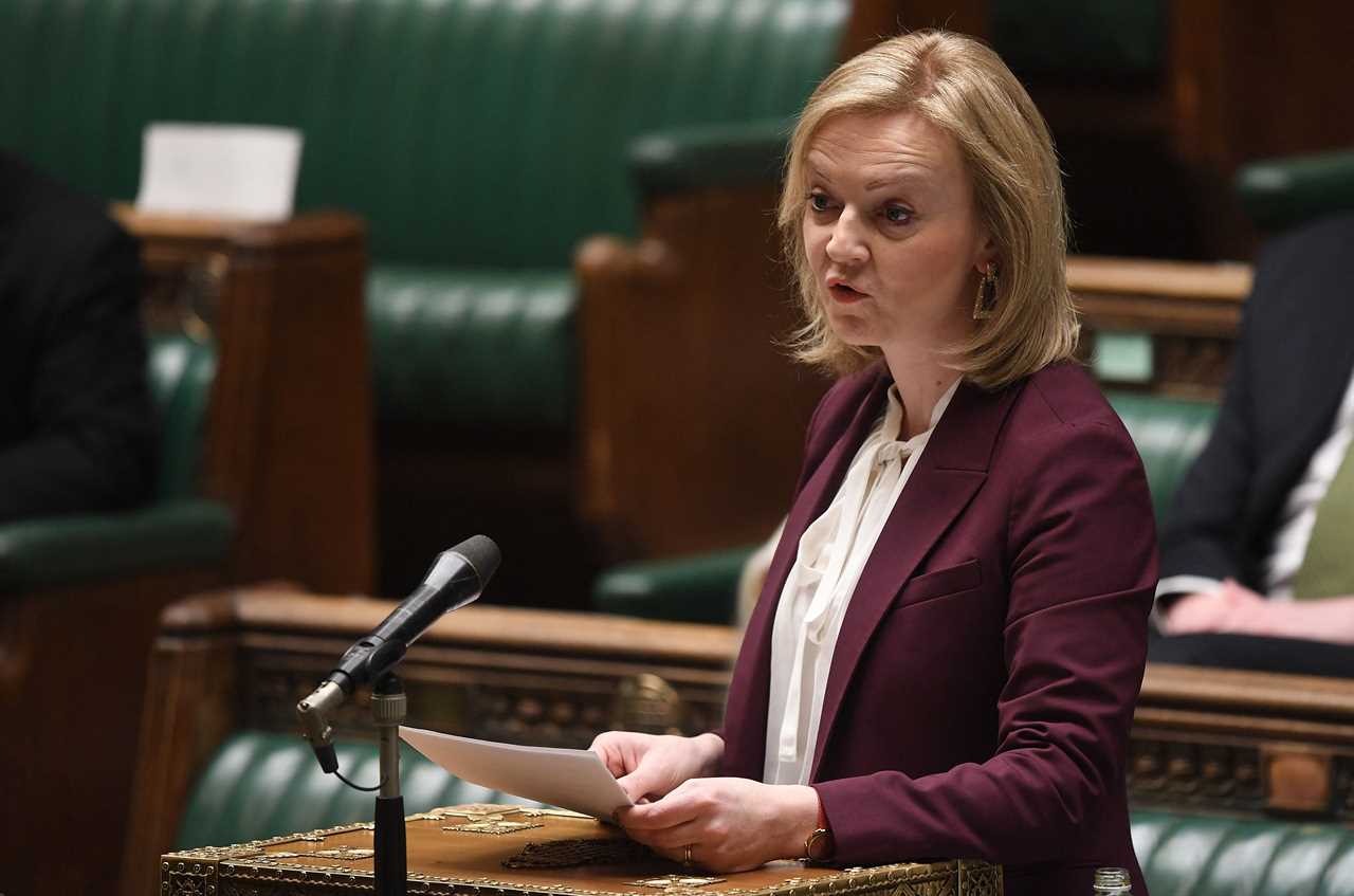 Foreign Secretary Liz Truss tests positive for Covid ahead of trip to Ukraine for crunch talks on Russia