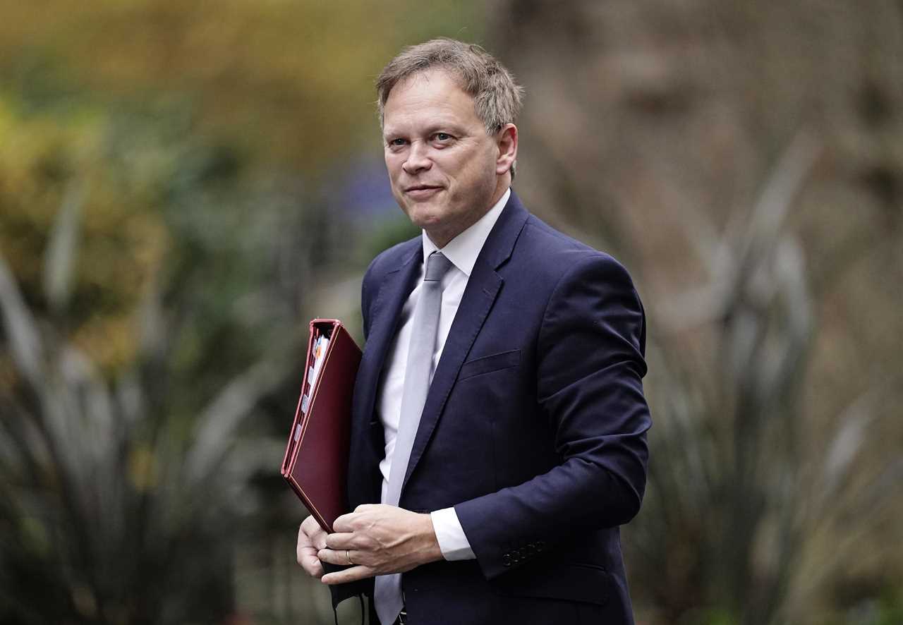 Holiday plans will never again be ruined by draconian Covid restrictions, says Transport Secretary Grant Shapps