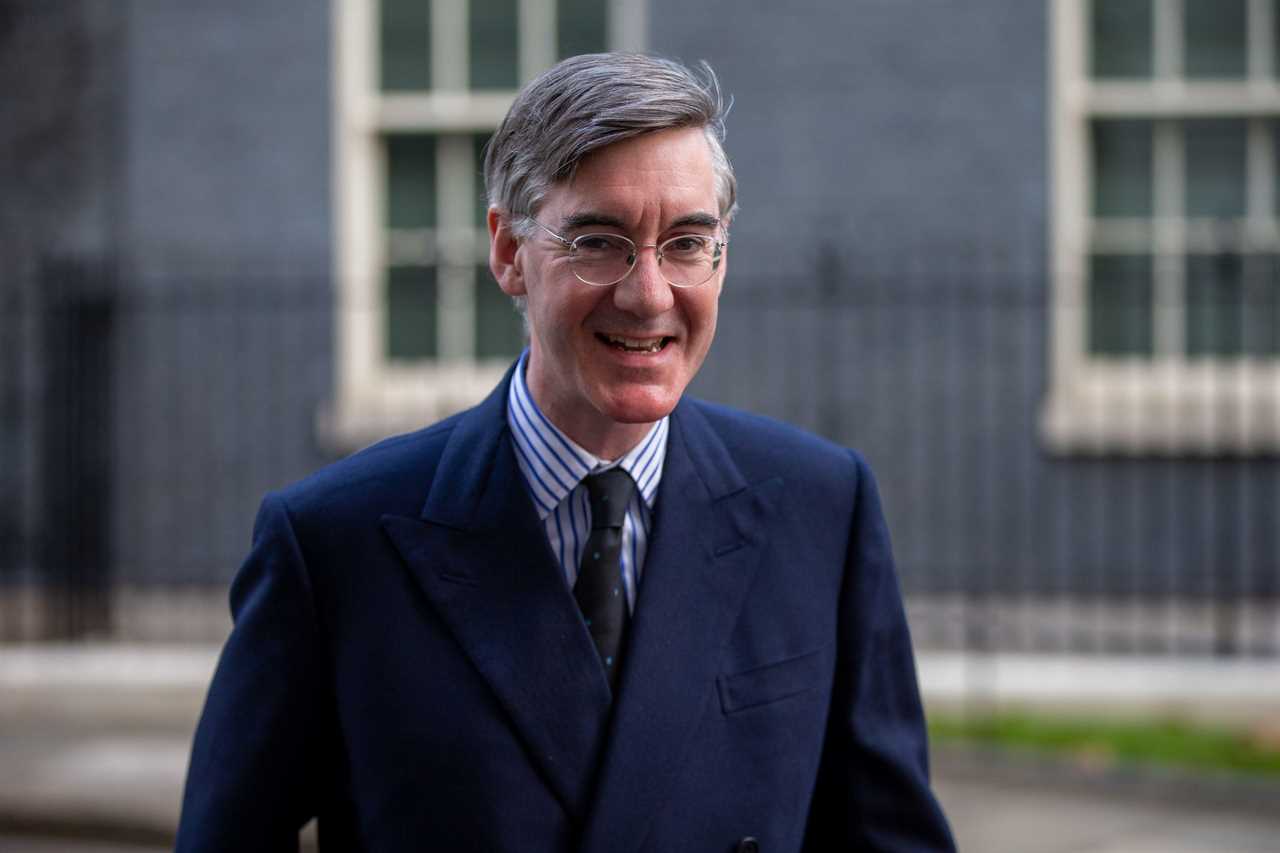 Jacob Rees-Mogg backs calls for costly EU trade barriers to be lifted to help reduce consumer costs