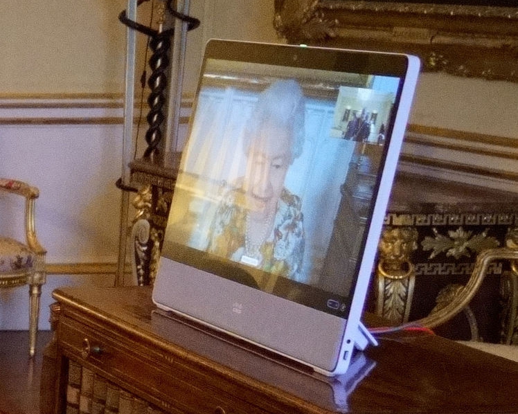 Queen, 95, carries out first official duties since Covid scare as she holds video-link chat from Windsor Castle