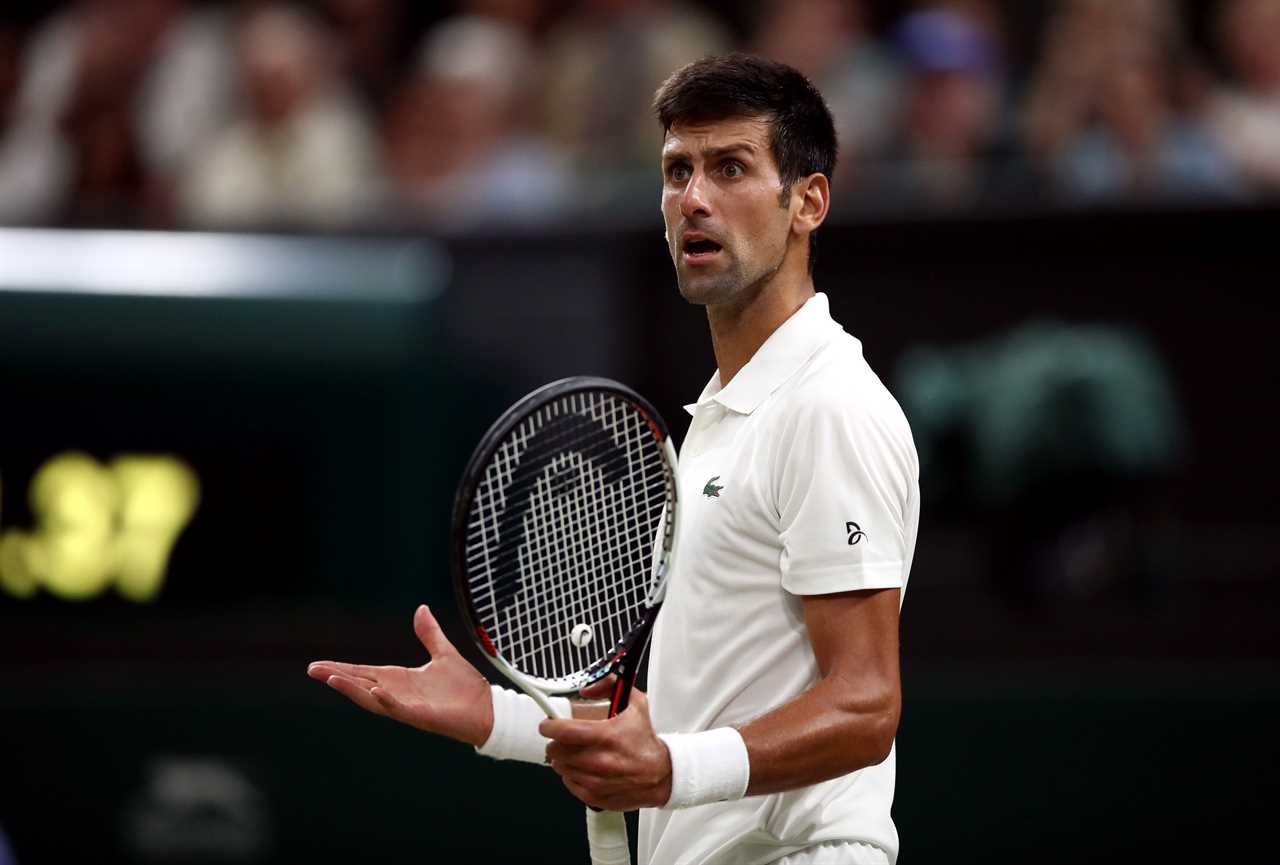 Novak Djokovic brilliantly trolled by Ryanair over confusing anti-vax statement in which he claims he is NOT against jab