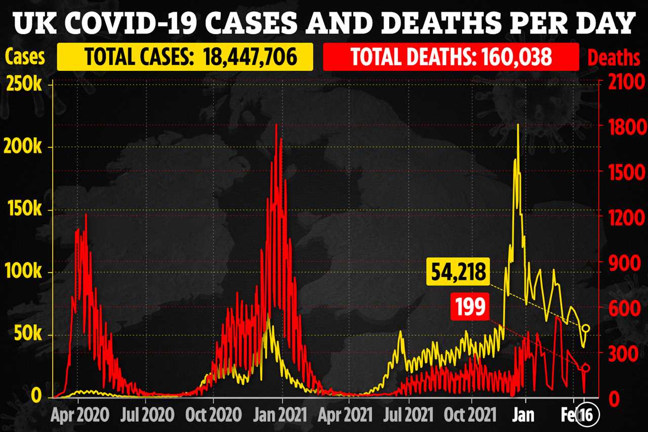 Covid cases start falling from ‘historic’ high as expert warns of ‘new variants on the horizon’