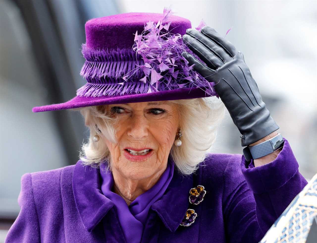 Camilla cancels day at Cheltenham as she struggles to overcome Covid after testing positive a month ago