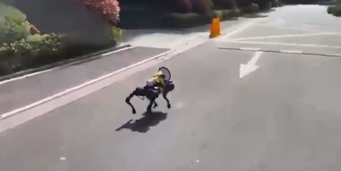 Chilling vids show creepy ROBOT dogs parading the streets of Shanghai to enforce world’s strictest Covid lockdown