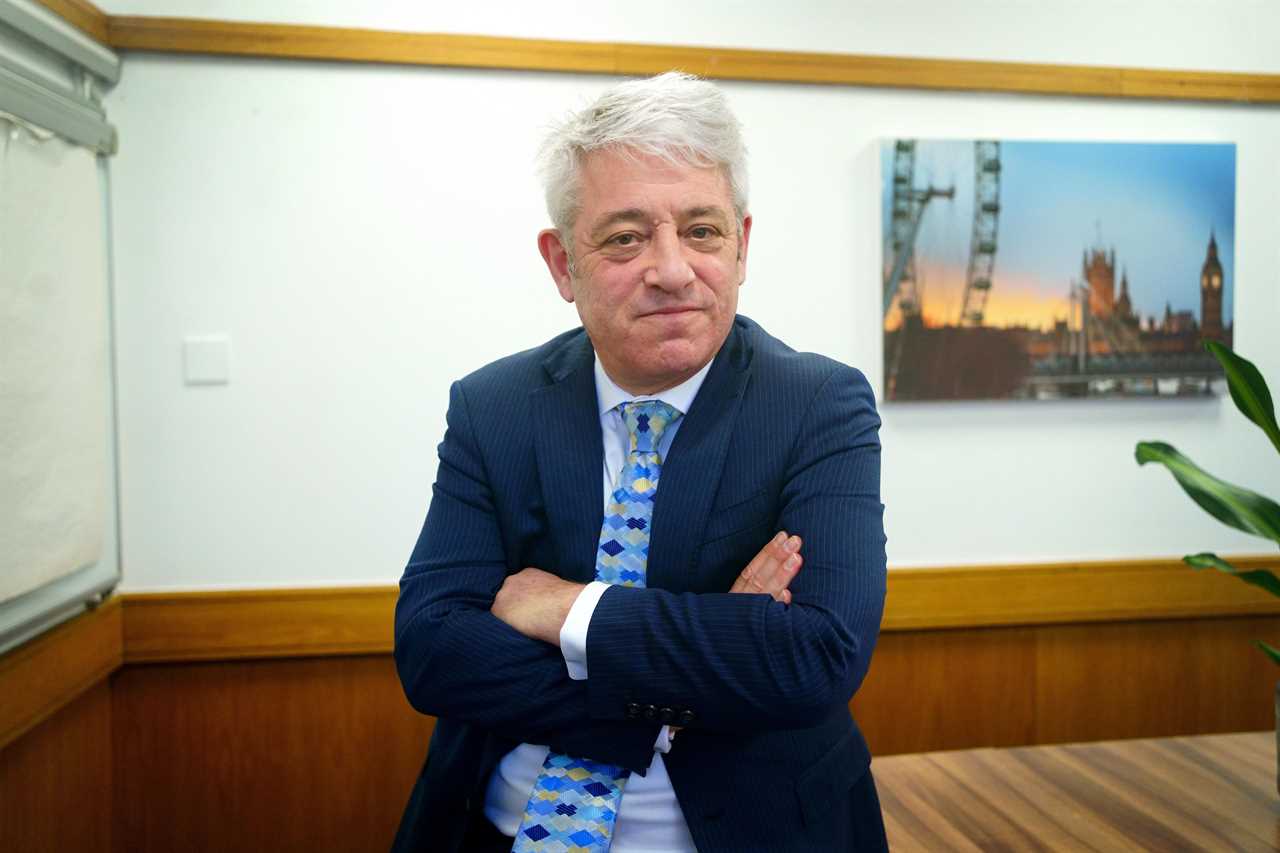 Disgraced ex-Commons Speaker John Bercow earns £25k from video greetings