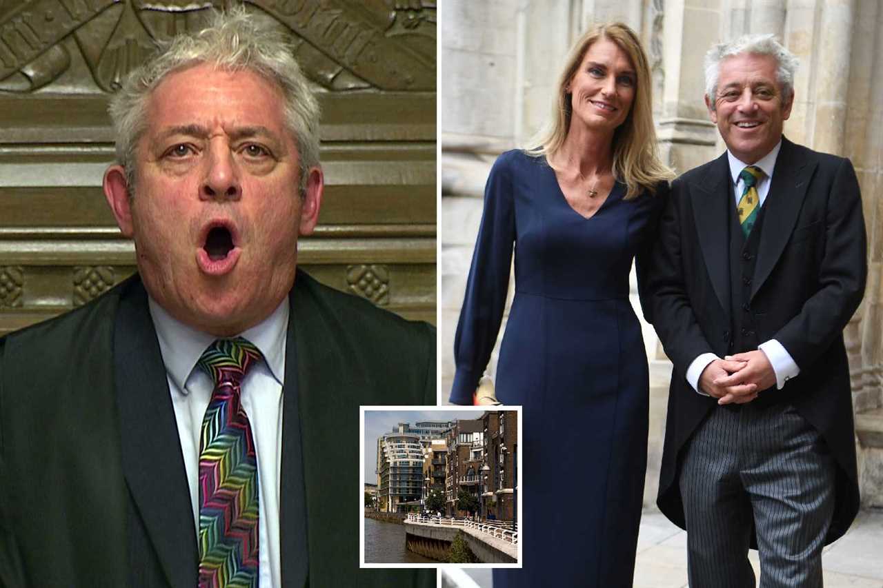 Disgraced ex-Commons Speaker John Bercow earns £25k from video greetings