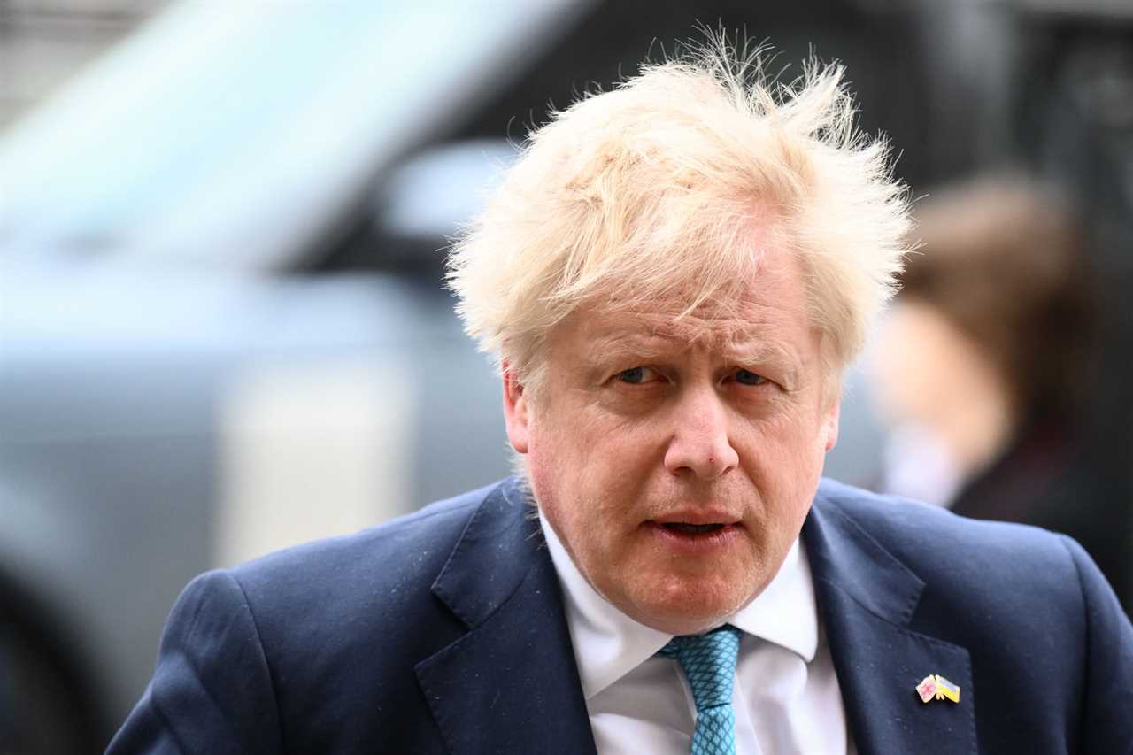 Boris Johnson should remain as PM even if he’s fined over Partygate, says Cabinet minister