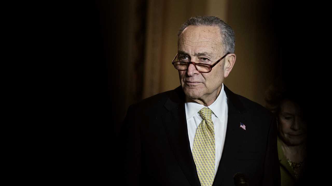 How Chuck Schumer Avoided a Primary Challenge From the Left
