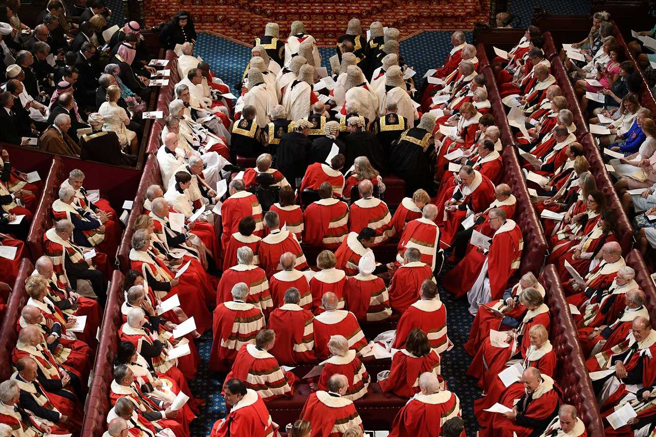 Peers block moves to ban demos that bring town centres to a standstill