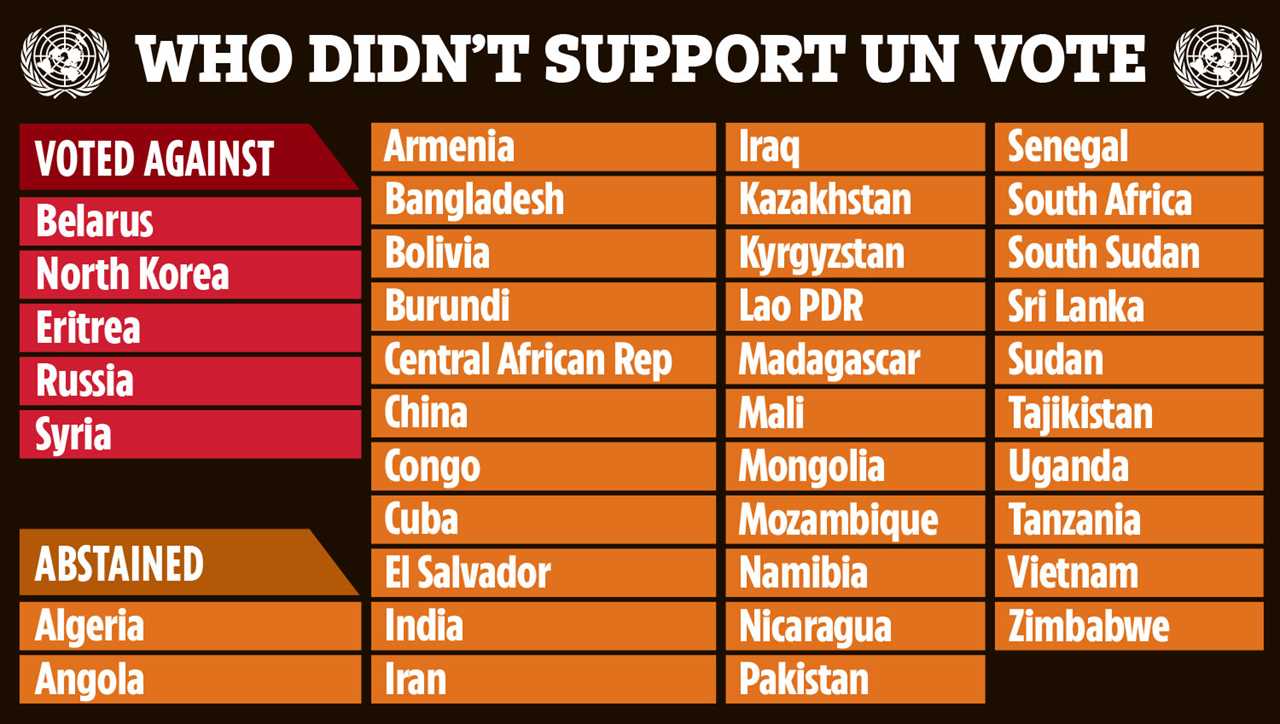 Russia was one of five countries, which included North Korea and Syria, that voted against the motion