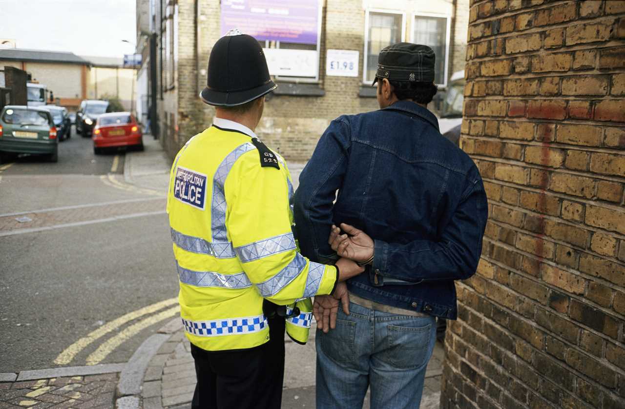 Shock figures show number of arrests made in Britain have HALVED in a decade