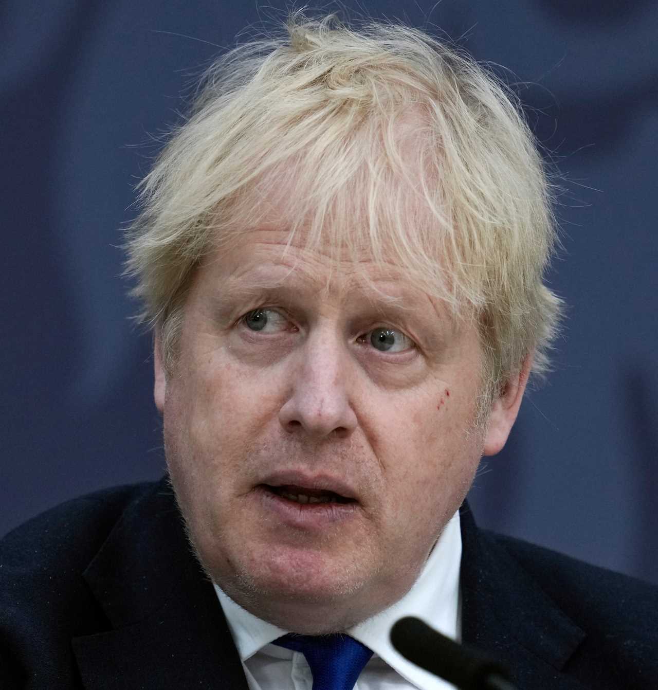 Tory rebels hatch plot to topple Boris Johnson if they suffer heavy elections defeat