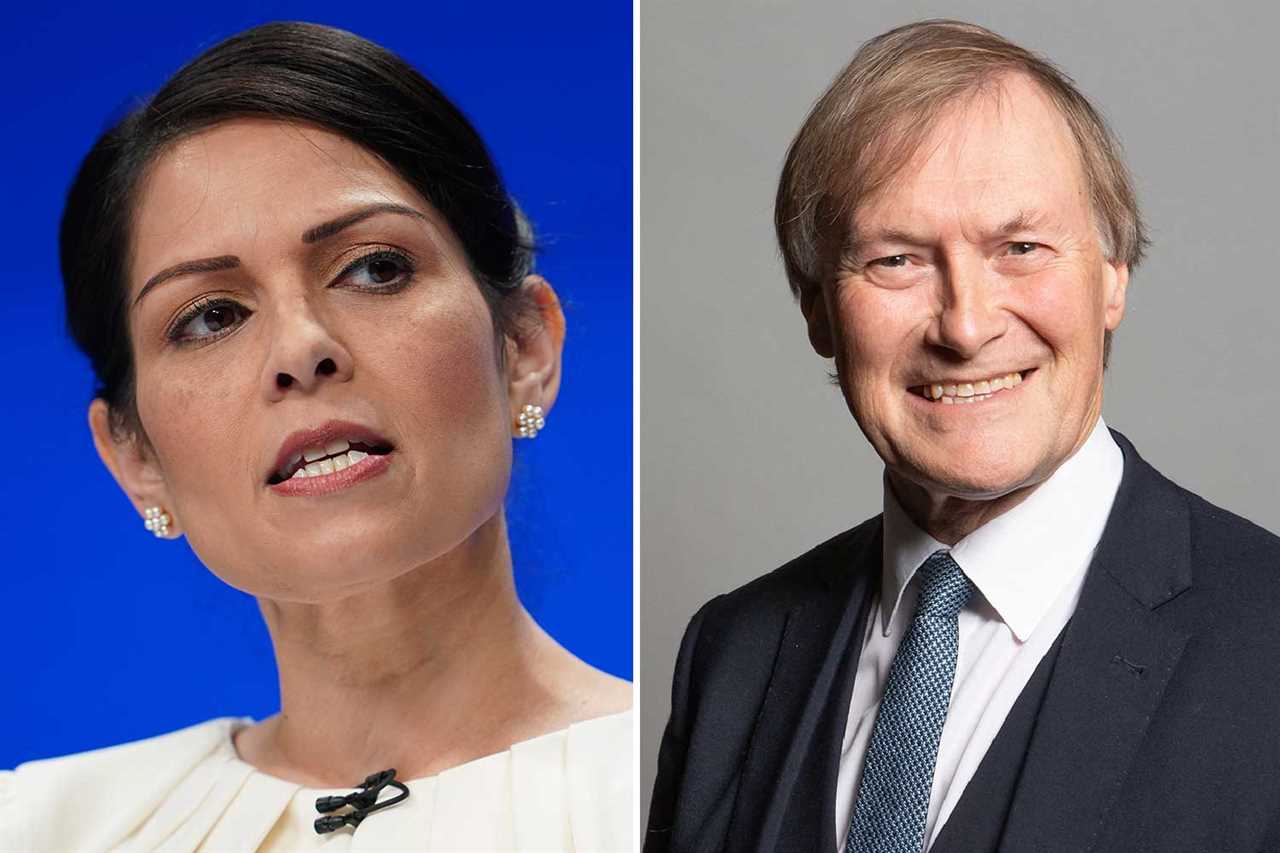 Priti Patel slams ‘shameful’ peers for blocking new protest laws