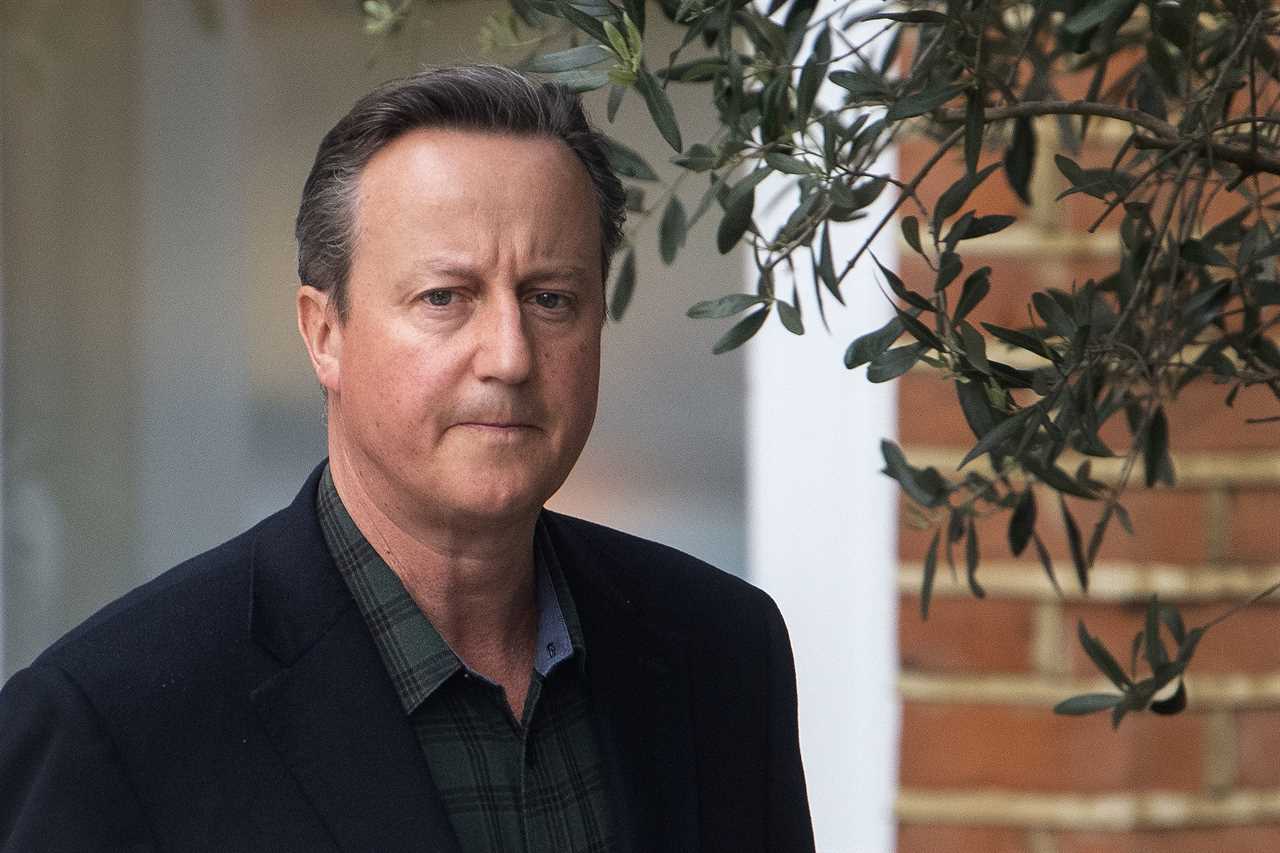 David Cameron accuses groups attacking Government’s anti-extremism scheme of ‘enabling terrorism’