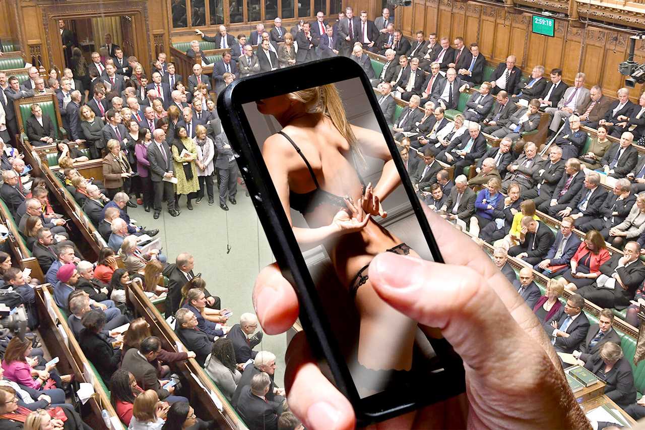 Tory MP caught watching PORN in Commons faces the sack after being caught by colleagues